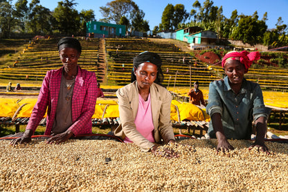 Ethiopia | Mother Station Natural